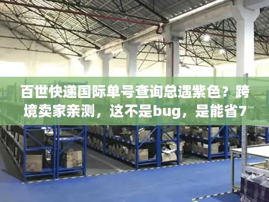 百世快递国际单号查询总遇紫色？跨境卖家亲测，这不是bug，是能省7天的物流暗号