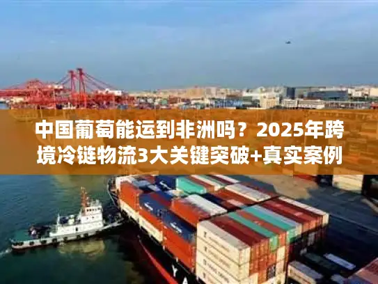 中国葡萄能运到非洲吗？2025年跨境冷链物流3大关键突破+真实案例拆解