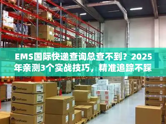 EMS国际快递查询总查不到？2025年亲测3个实战技巧，精准追踪不踩坑