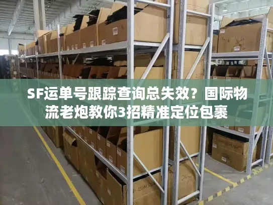 SF运单号跟踪查询总失效？国际物流老炮教你3招精准定位包裹