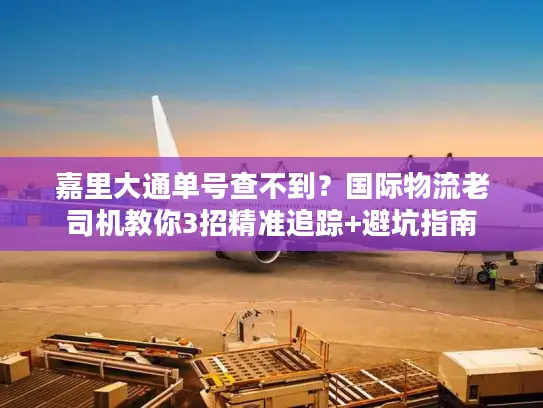 嘉里大通单号查不到？国际物流老司机教你3招精准追踪+避坑指南