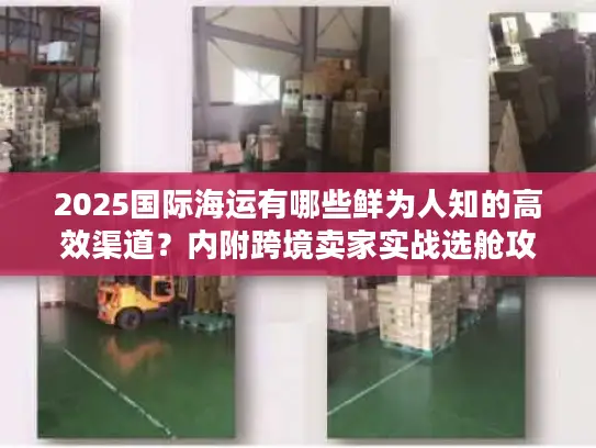 2025国际海运有哪些鲜为人知的高效渠道？内附跨境卖家实战选舱攻略