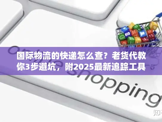 国际物流的快递怎么查？老货代教你3步避坑，附2025最新追踪工具清单
