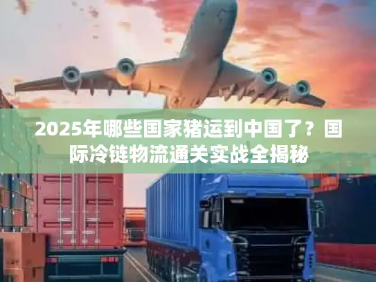 2025年哪些国家猪运到中国了？国际冷链物流通关实战全揭秘