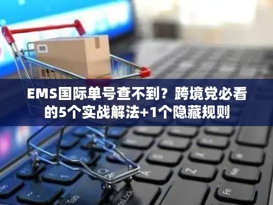 EMS国际单号查不到？跨境党必看的5个实战解法+1个隐藏规则