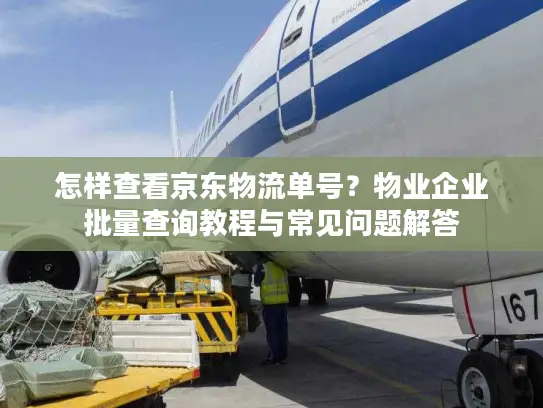怎样查看京东物流单号？物业企业批量查询教程与常见问题解答