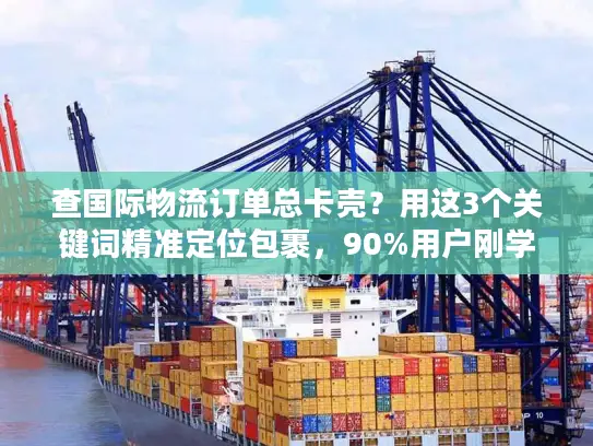 查国际物流订单总卡壳？用这3个关键词精准定位包裹，90%用户刚学会