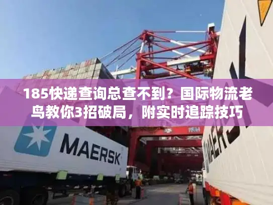 185快递查询总查不到？国际物流老鸟教你3招破局，附实时追踪技巧