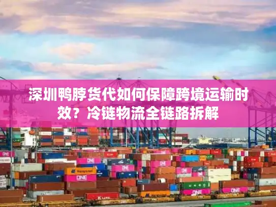 深圳鸭脖货代如何保障跨境运输时效？冷链物流全链路拆解