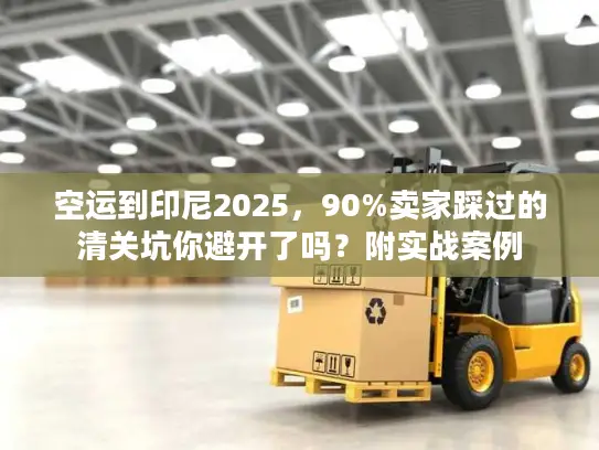 空运到印尼2025，90%卖家踩过的清关坑你避开了吗？附实战案例