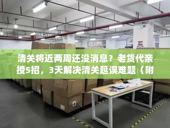 清关将近两周还没消息？老货代亲授5招，3天解决清关延误难题（附2025最新政策）