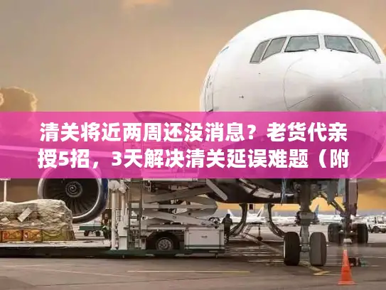 清关将近两周还没消息？老货代亲授5招，3天解决清关延误难题（附2025最新政策）