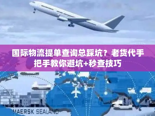 国际物流提单查询总踩坑？老货代手把手教你避坑+秒查技巧