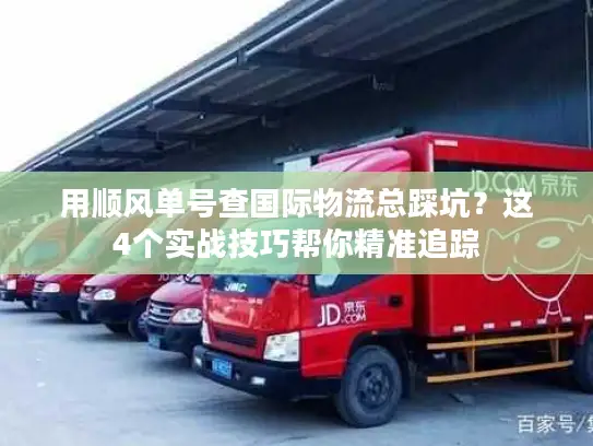 用顺风单号查国际物流总踩坑？这4个实战技巧帮你精准追踪
