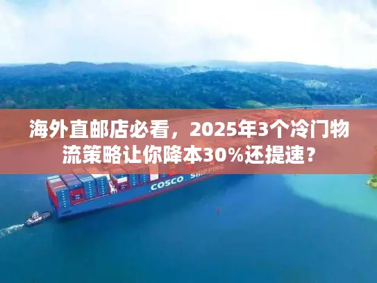 海外直邮店必看，2025年3个冷门物流策略让你降本30%还提速？