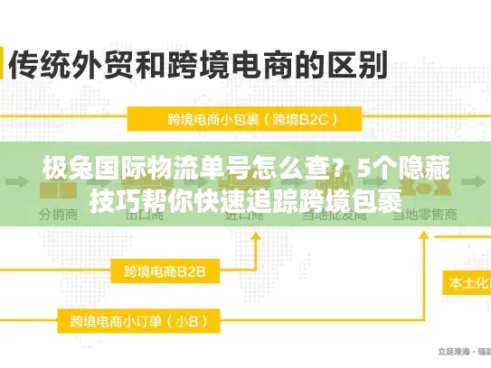 极兔国际物流单号怎么查？5个隐藏技巧帮你快速追踪跨境包裹