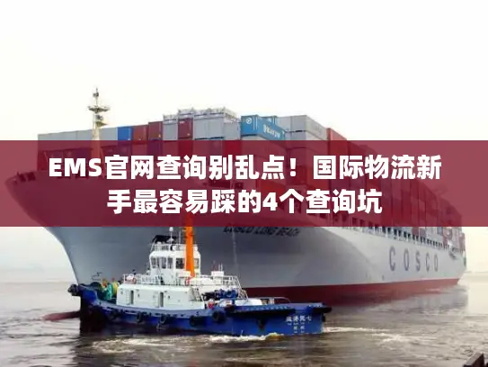 EMS官网查询别乱点！国际物流新手最容易踩的4个查询坑