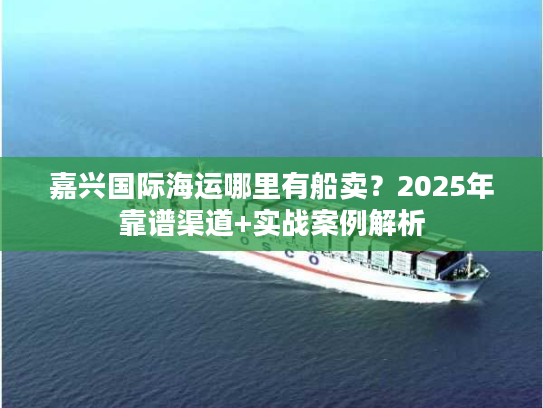 嘉兴国际海运哪里有船卖？2025年靠谱渠道+实战案例解析