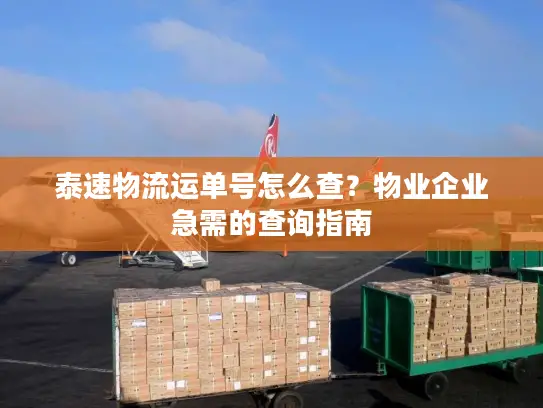 泰速物流运单号怎么查？物业企业急需的查询指南