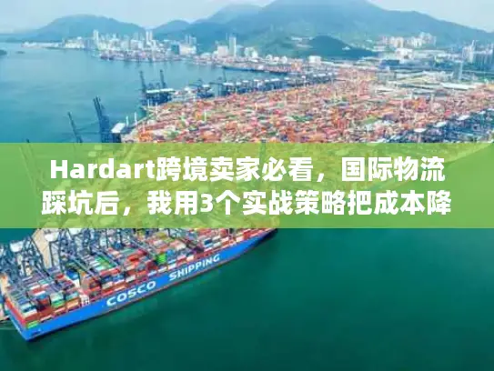 Hardart跨境卖家必看，国际物流踩坑后，我用3个实战策略把成本降了40%