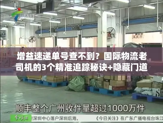 增益速递单号查不到？国际物流老司机的3个精准追踪秘诀+隐藏门道