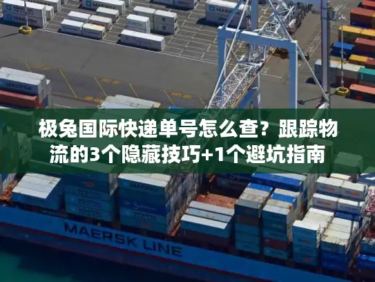 极兔国际快递单号怎么查？跟踪物流的3个隐藏技巧+1个避坑指南