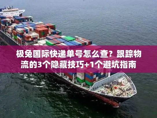 极兔国际快递单号怎么查？跟踪物流的3个隐藏技巧+1个避坑指南