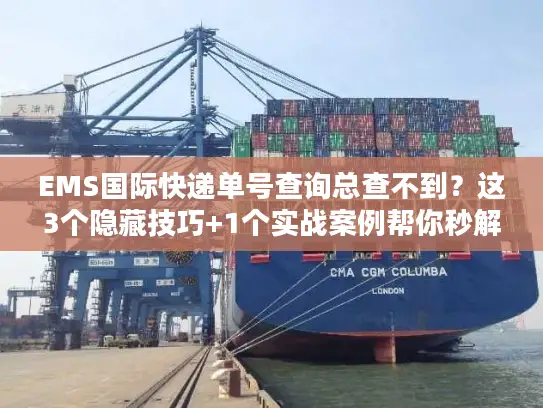 EMS国际快递单号查询总查不到？这3个隐藏技巧+1个实战案例帮你秒解决