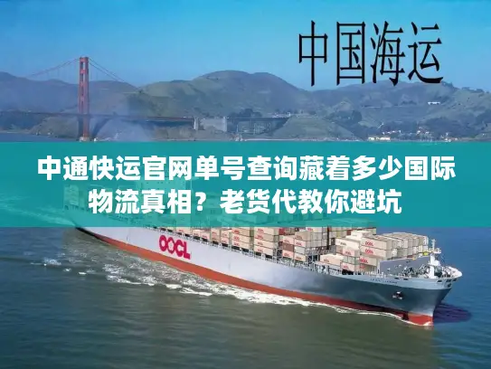 中通快运官网单号查询藏着多少国际物流真相？老货代教你避坑