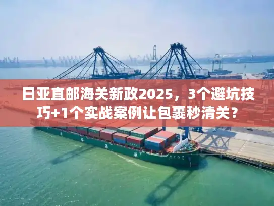 日亚直邮海关新政2025，3个避坑技巧+1个实战案例让包裹秒清关？