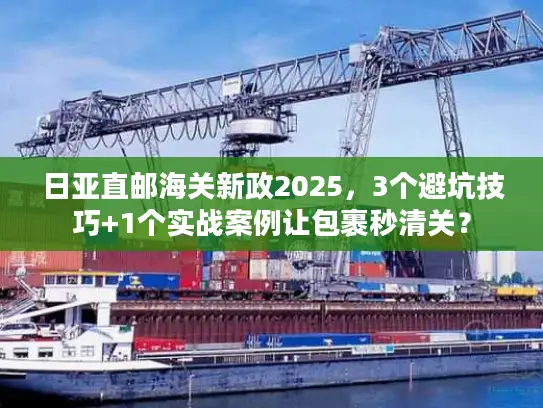 日亚直邮海关新政2025，3个避坑技巧+1个实战案例让包裹秒清关？