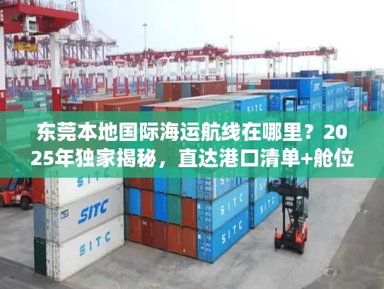 东莞本地国际海运航线在哪里？2025年独家揭秘，直达港口清单+舱位预订技巧