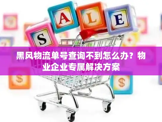 黑风物流单号查询不到怎么办？物业企业专属解决方案