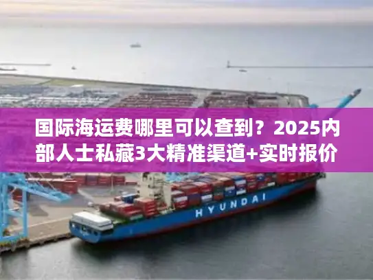 国际海运费哪里可以查到？2025内部人士私藏3大精准渠道+实时报价技巧
