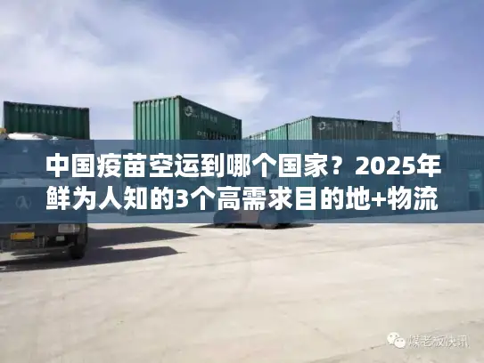 中国疫苗空运到哪个国家？2025年鲜为人知的3个高需求目的地+物流解决方案