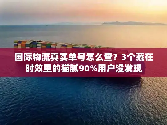 国际物流真实单号怎么查？3个藏在时效里的猫腻90%用户没发现