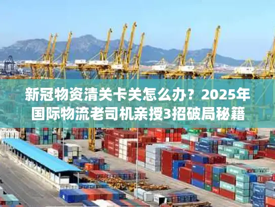 新冠物资清关卡关怎么办？2025年国际物流老司机亲授3招破局秘籍