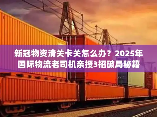 新冠物资清关卡关怎么办？2025年国际物流老司机亲授3招破局秘籍