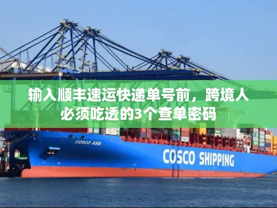 输入顺丰速运快递单号前，跨境人必须吃透的3个查单密码