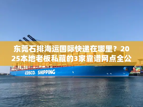 东莞石排海运国际快递在哪里？2025本地老板私藏的3家靠谱网点全公开
