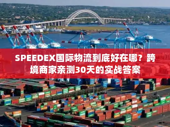 SPEEDEX国际物流到底好在哪？跨境商家亲测30天的实战答案