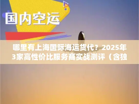 哪里有上海国际海运货代？2025年3家高性价比服务商实战测评（含独家筛选技巧）