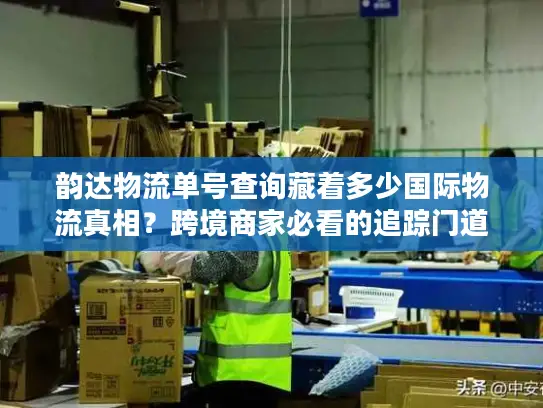 韵达物流单号查询藏着多少国际物流真相？跨境商家必看的追踪门道