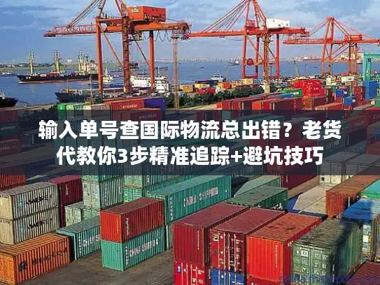输入单号查国际物流总出错？老货代教你3步精准追踪+避坑技巧