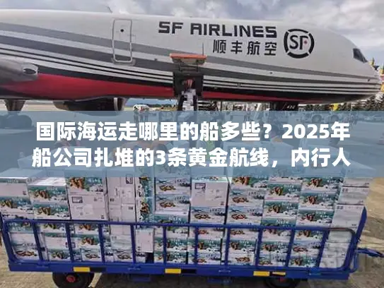 国际海运走哪里的船多些？2025年船公司扎堆的3条黄金航线，内行人都这么选！