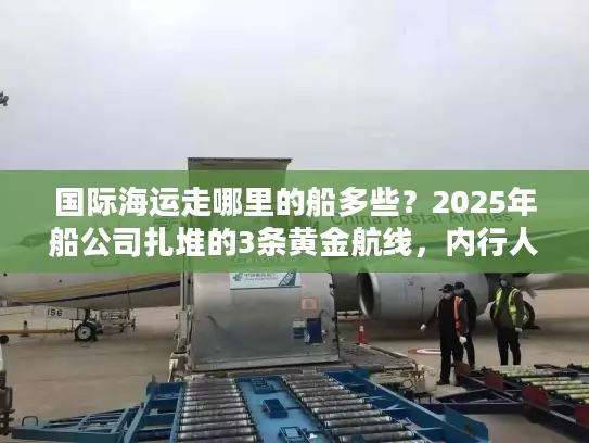 国际海运走哪里的船多些？2025年船公司扎堆的3条黄金航线，内行人都这么选！