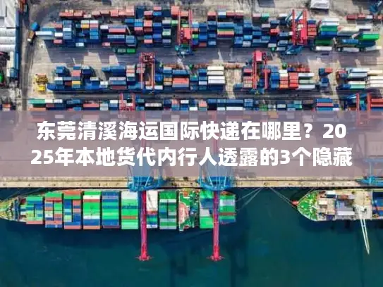 东莞清溪海运国际快递在哪里？2025年本地货代内行人透露的3个隐藏网点+省钱技巧