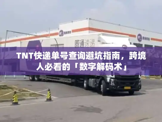 TNT快递单号查询避坑指南，跨境人必看的「数字解码术」