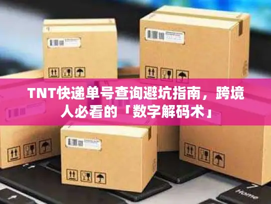 TNT快递单号查询避坑指南，跨境人必看的「数字解码术」