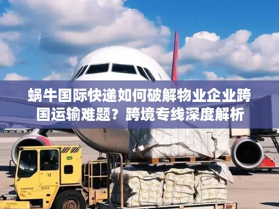 蜗牛国际快递如何破解物业企业跨国运输难题？跨境专线深度解析